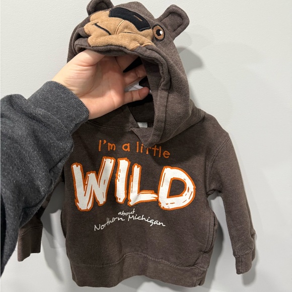 Boys Michigan bear hoodie size 2T - Picture 3 of 4